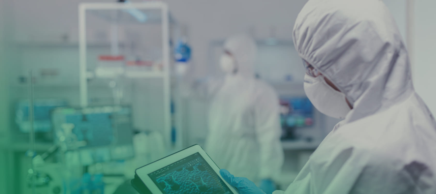 ����Ͷ��